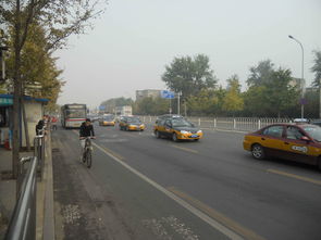 霧霾下的“椰林”呼喚 當海南路牌廣告叩擊北京的灰色天空